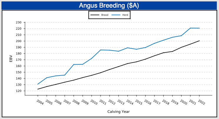 Angus Breeding Graph
